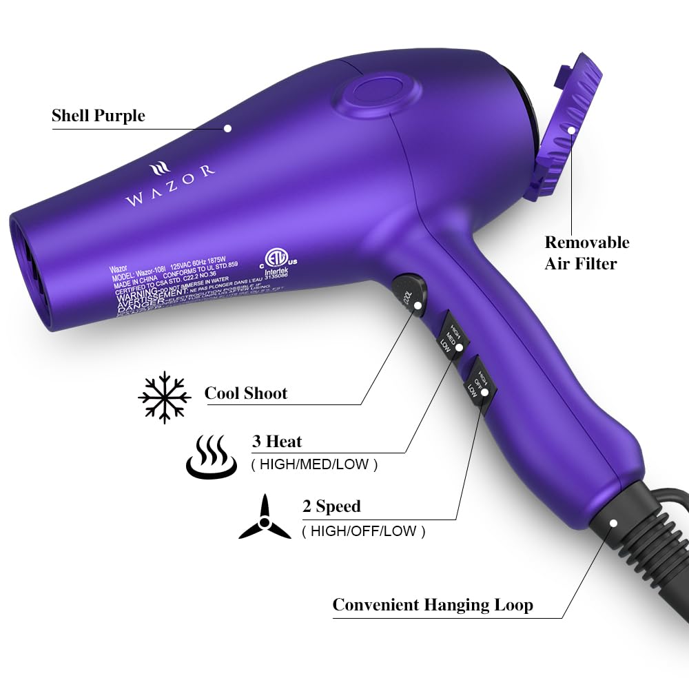1875W Ionic Blow Dryer with Diffuser R3389