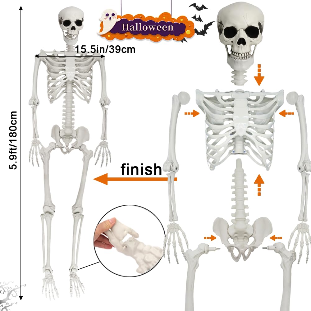 5.9FT Poseable Life Size Skeleton with Movable Joints S2936