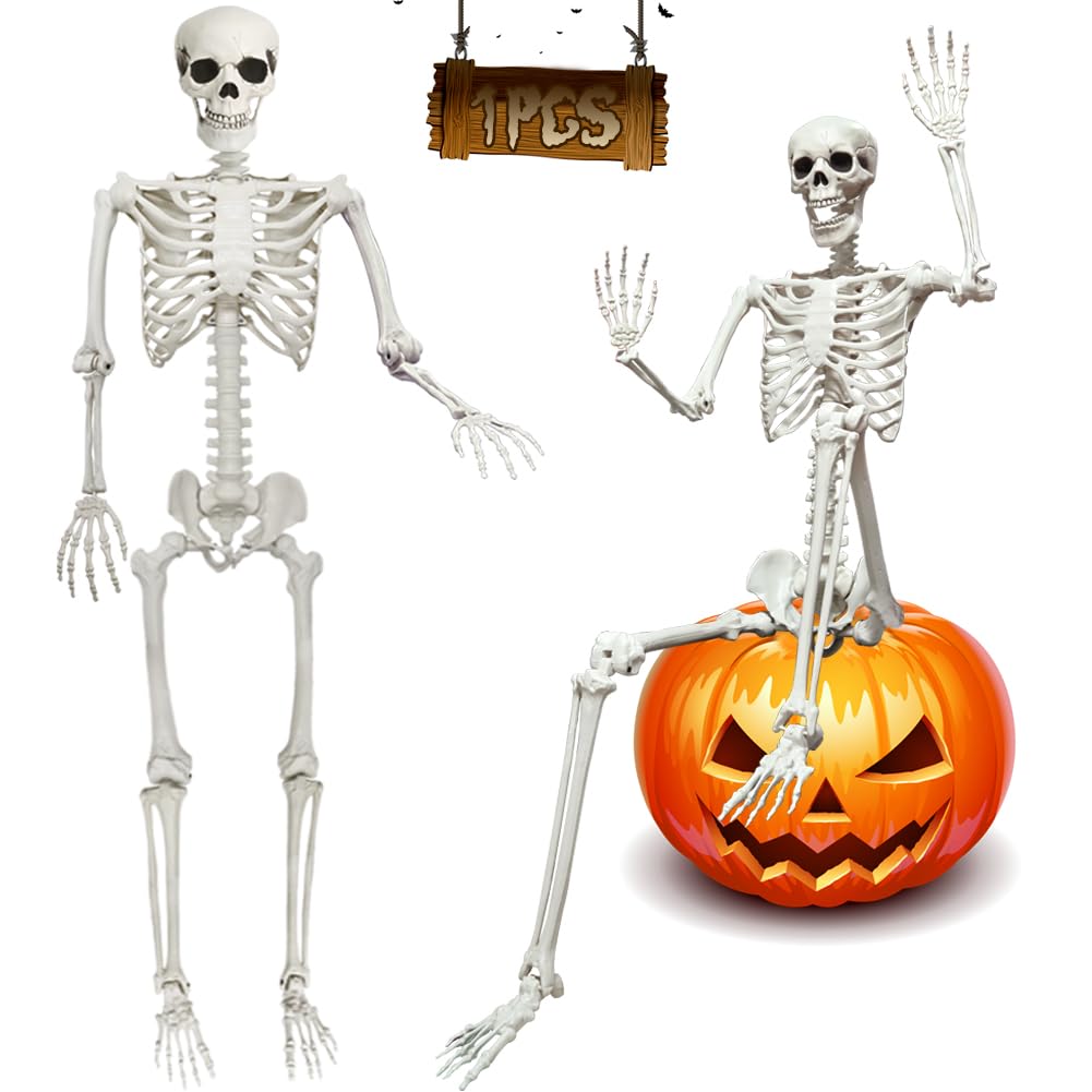 5.9FT Poseable Life Size Skeleton with Movable Joints S2936