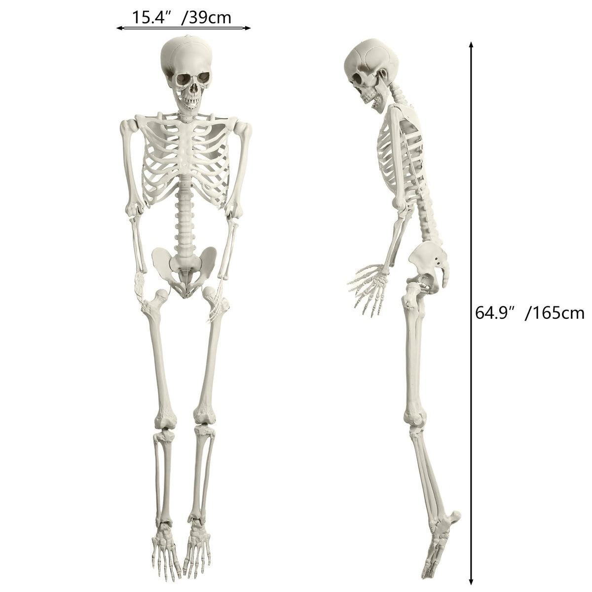 5.4FT Posable Full Body Skeleton with Movable Joints H82919