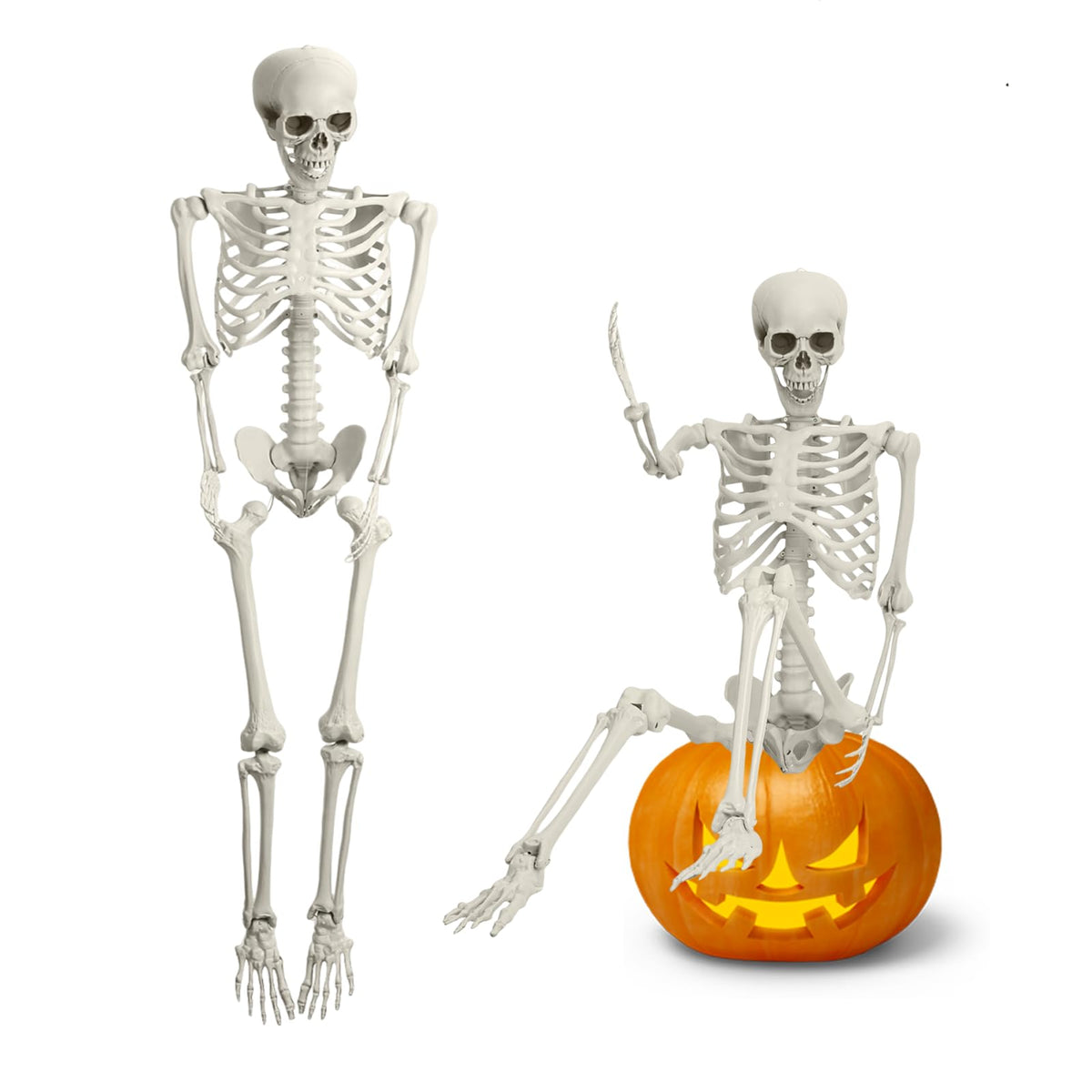 5.4FT Posable Full Body Skeleton with Movable Joints H82919