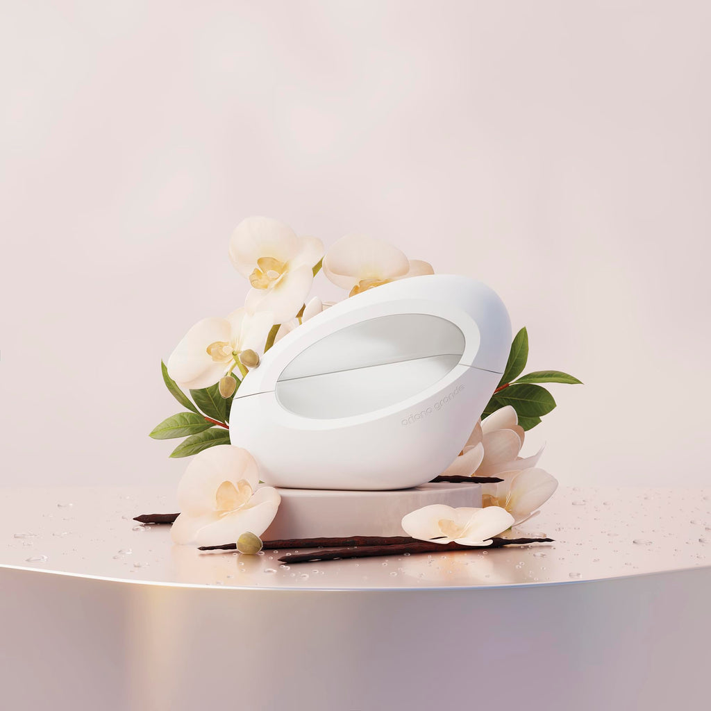 Vanilla Musk Eau De Parfum N241