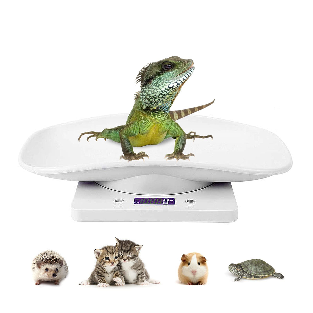 Digital Pet Scale LCD Electronic Weighing Scale F388805