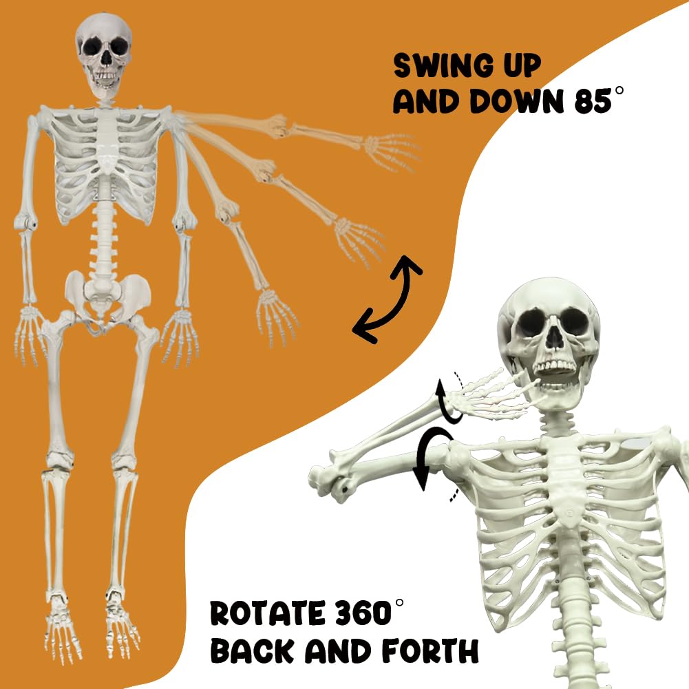5.9FT Poseable Life Size Skeleton with Movable Joints S2936
