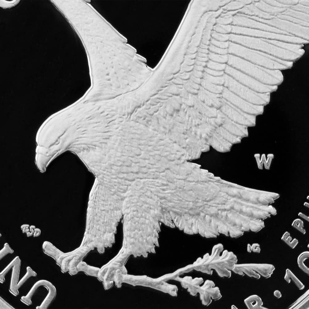 1 oz American Silver Eagle Coin A153