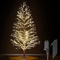 6FT Lighted Birch Tree with 1300 LED Lights Y712771