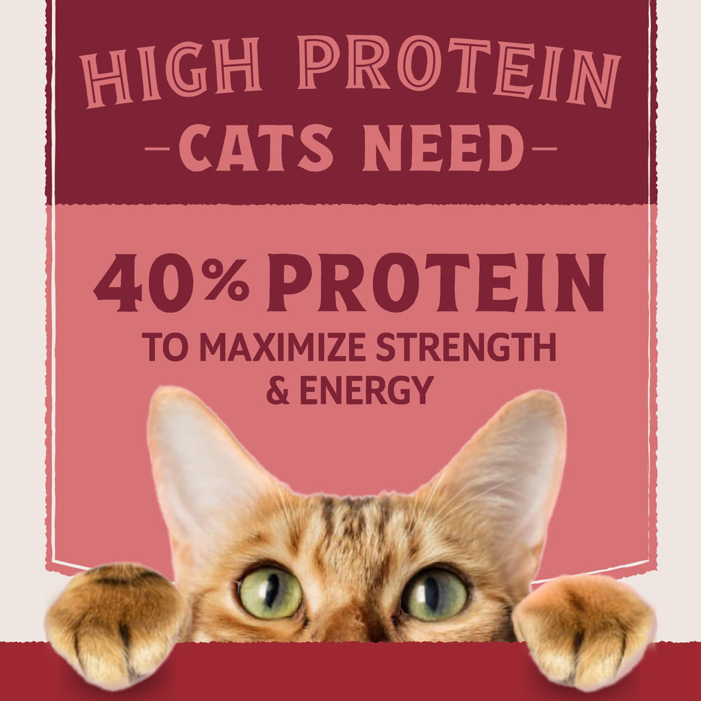 Salmon & Chicken Meal Protein O82333