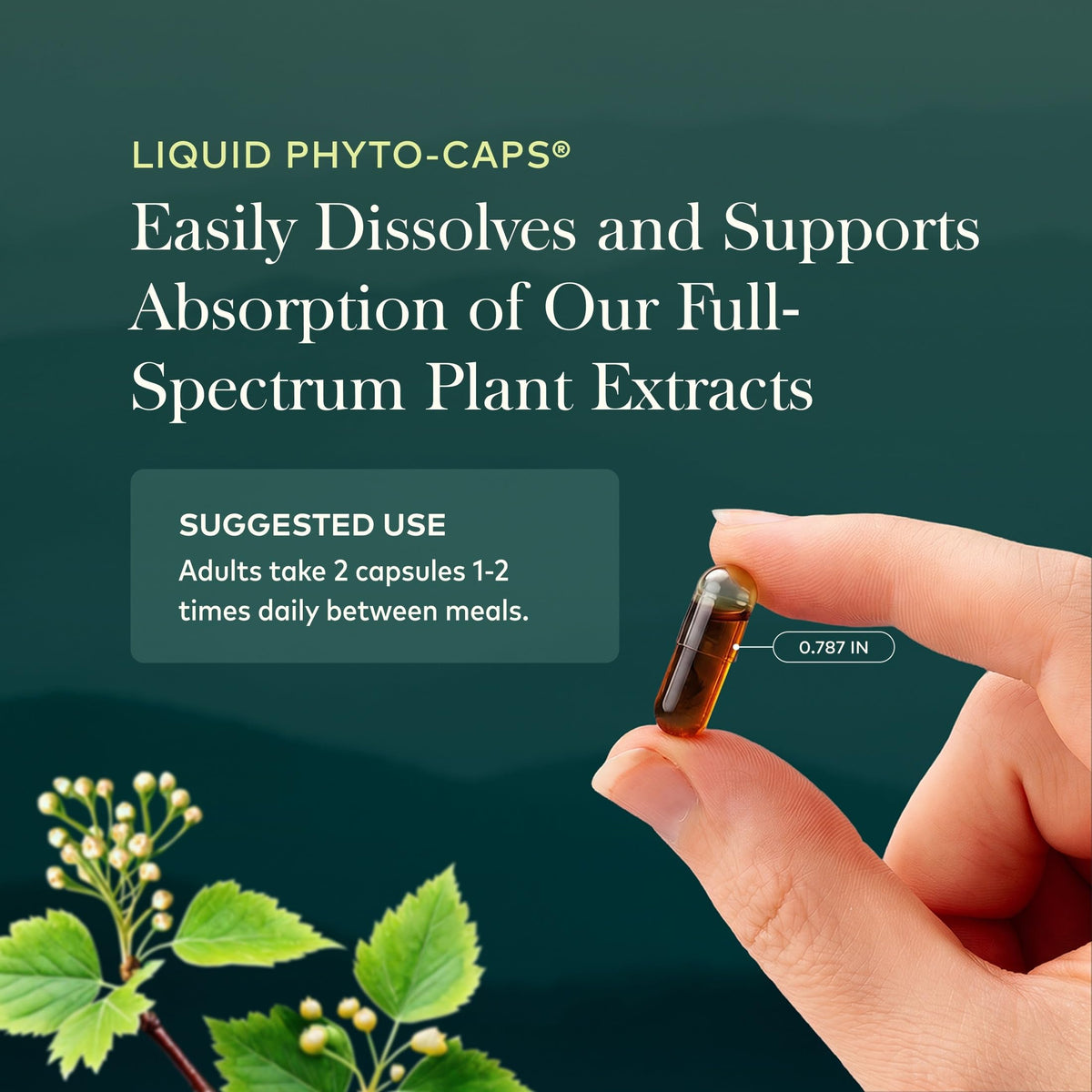 40 Vegan Capsules Nootropic Focus B926