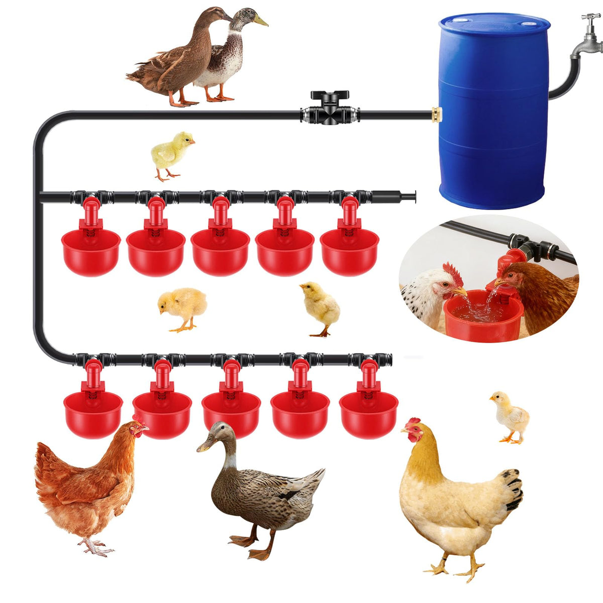 Automatic Chicken Watering System with 10 Red Cups N487