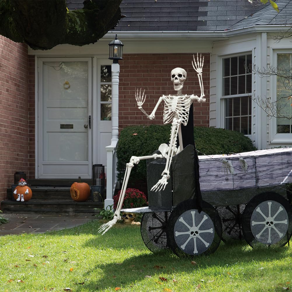 5.9FT Poseable Life Size Skeleton with Movable Joints S2936