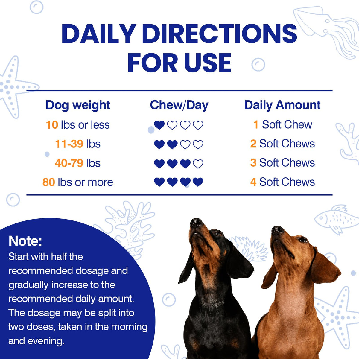 Omega 3 Skin and Coat Dog Supplement 200 Chews Fish Oil V4440