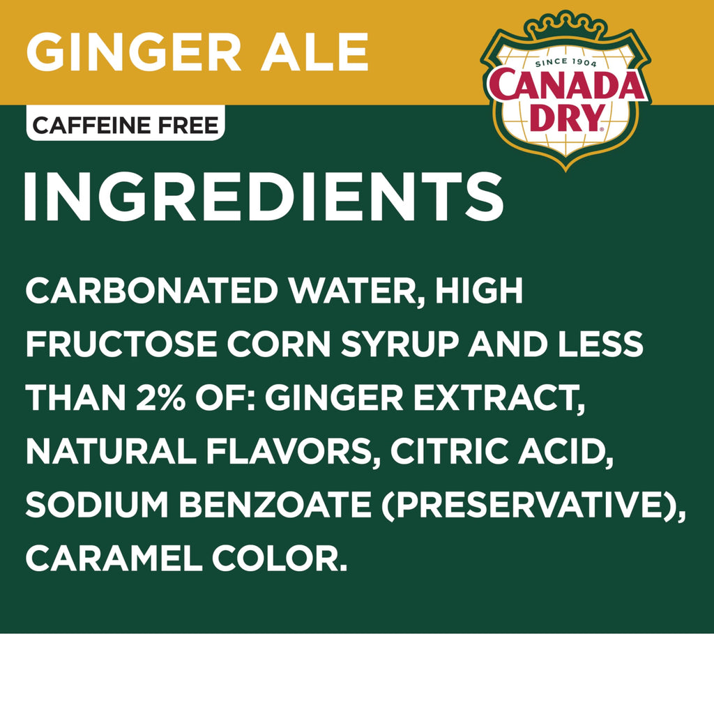 Ginger Ale Soda 12 fl oz 12 pack N45690