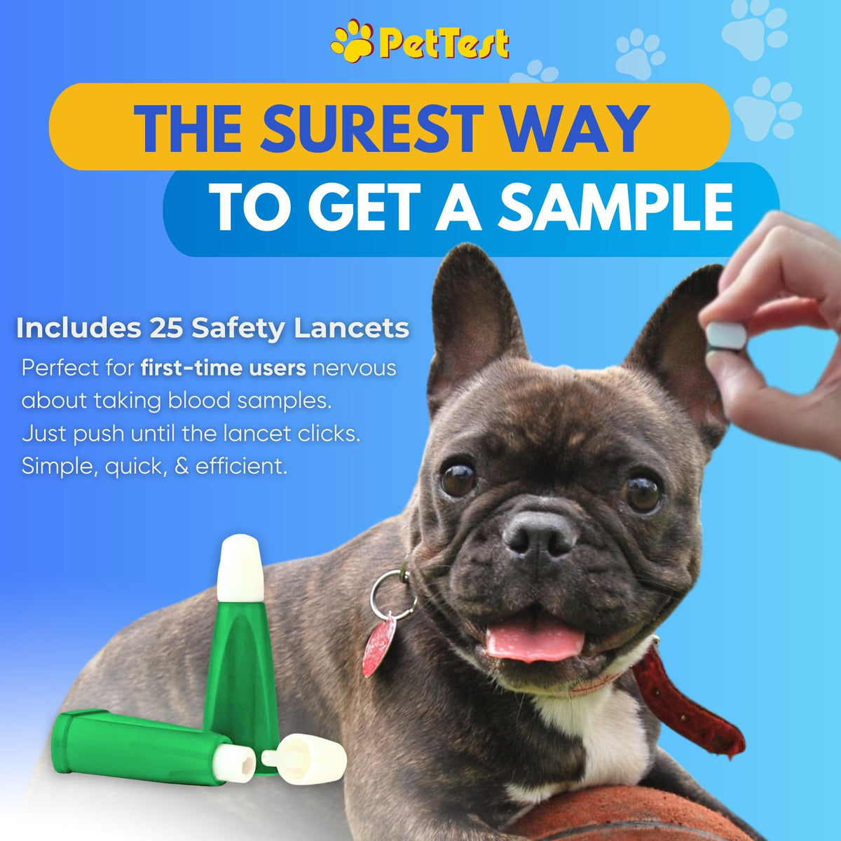 Glucose Monitor Kit for Dogs and Cats X160875