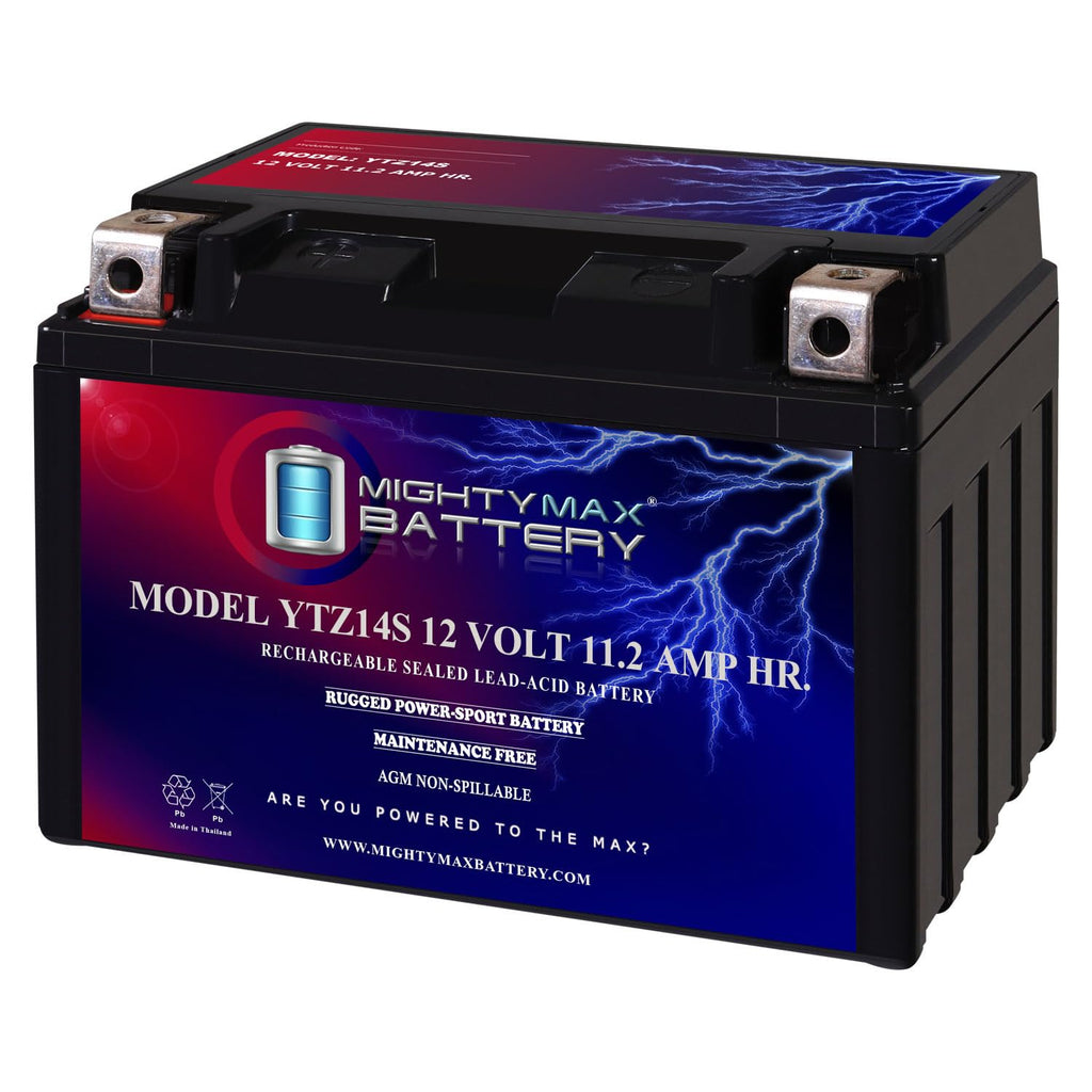 12V 11.2Ah Battery D190352