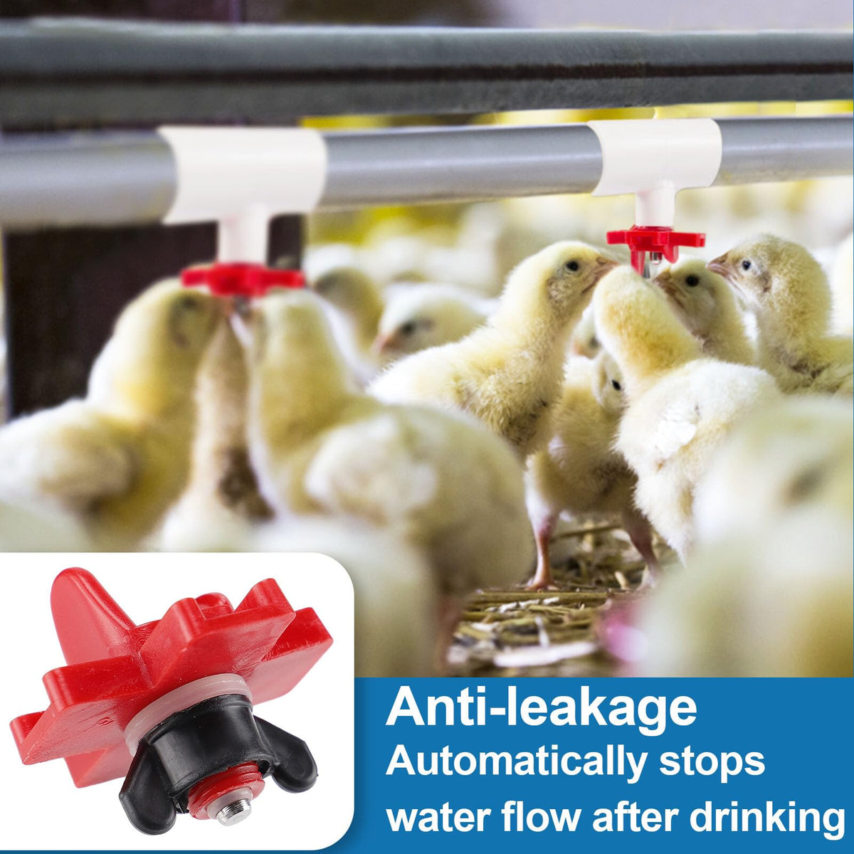 20 Pack Chicken Waterer Nipples with Drill Bits P570554