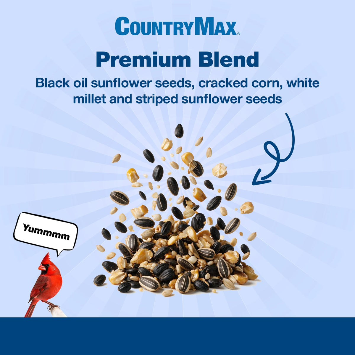 20 LB Backyard Bird Seed H581410