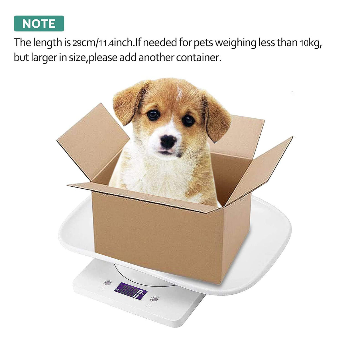 Digital Pet Scale LCD Electronic Weighing Scale F388805