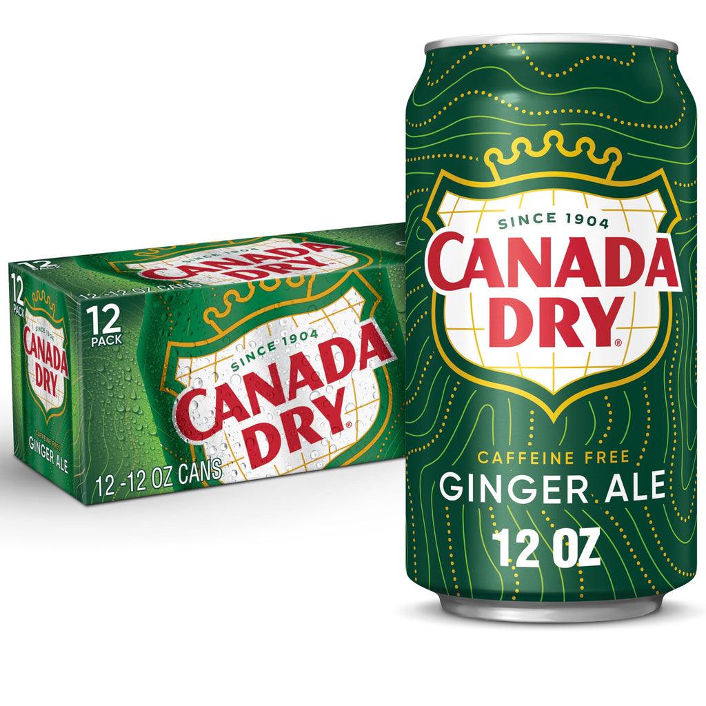 Ginger Ale Soda 12 fl oz 12 pack N45690