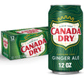 Ginger Ale Soda 12 fl oz 12 pack N45690