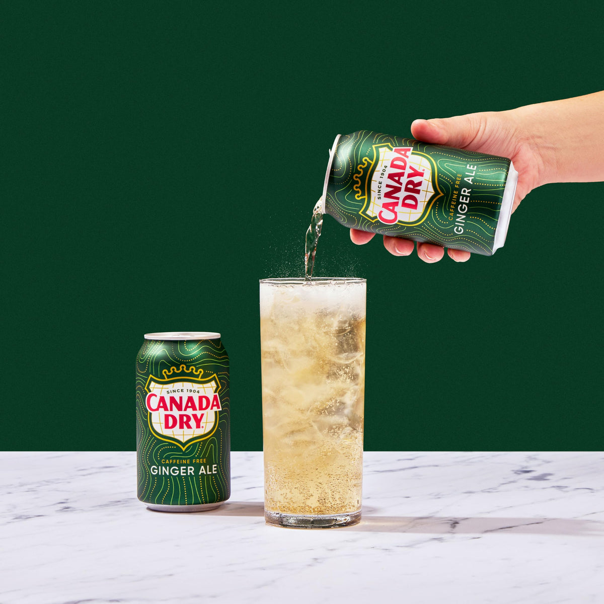 Ginger Ale Soda 12 fl oz 12 pack N45690