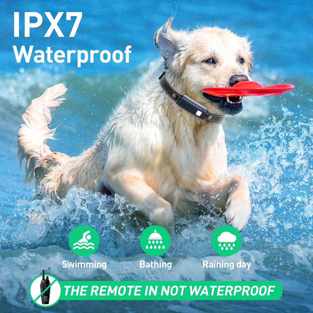 Waterproof Rechargeable Dog Training Collar with Remote J9368