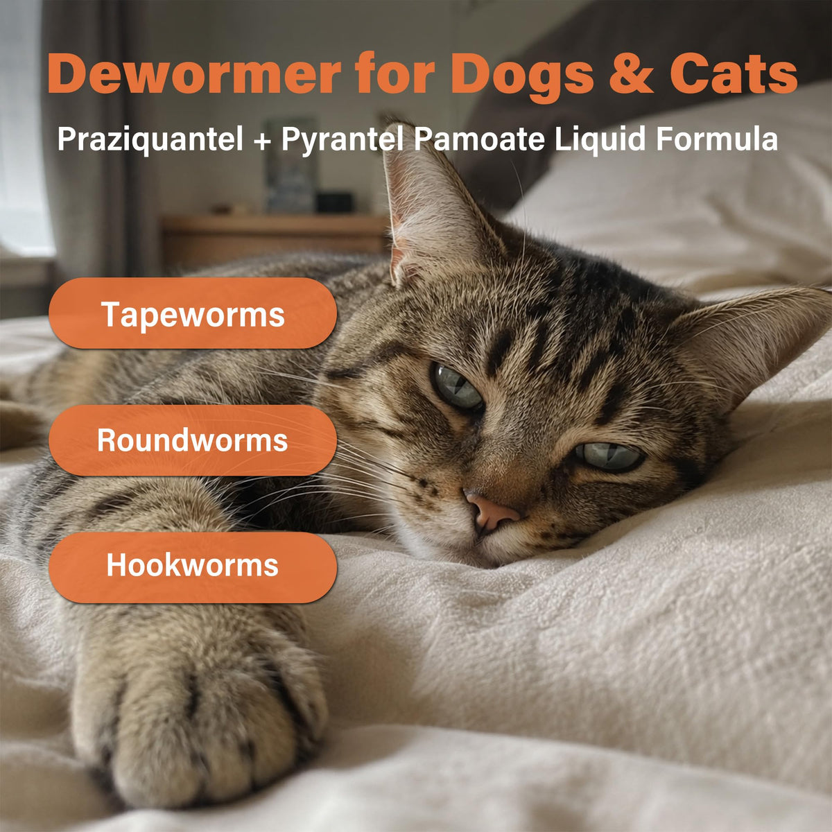 Dewormer for Dogs and Cats 3.38 fl oz N395521