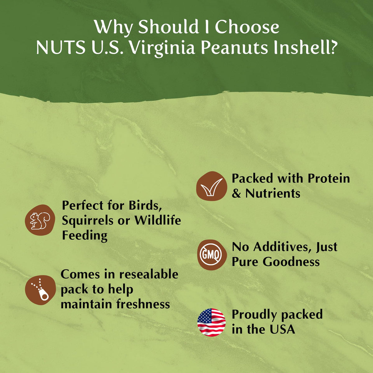 Whole In Shell Unsalted Peanuts 2 LBS I8503