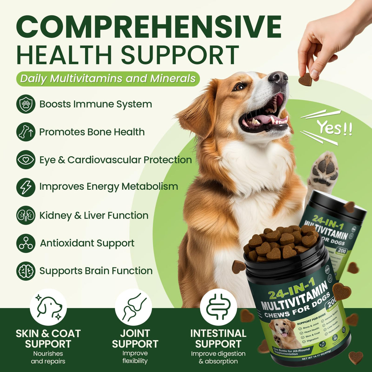 Dog Vitamins and Supplements 200 Ct Multivitamin S65592