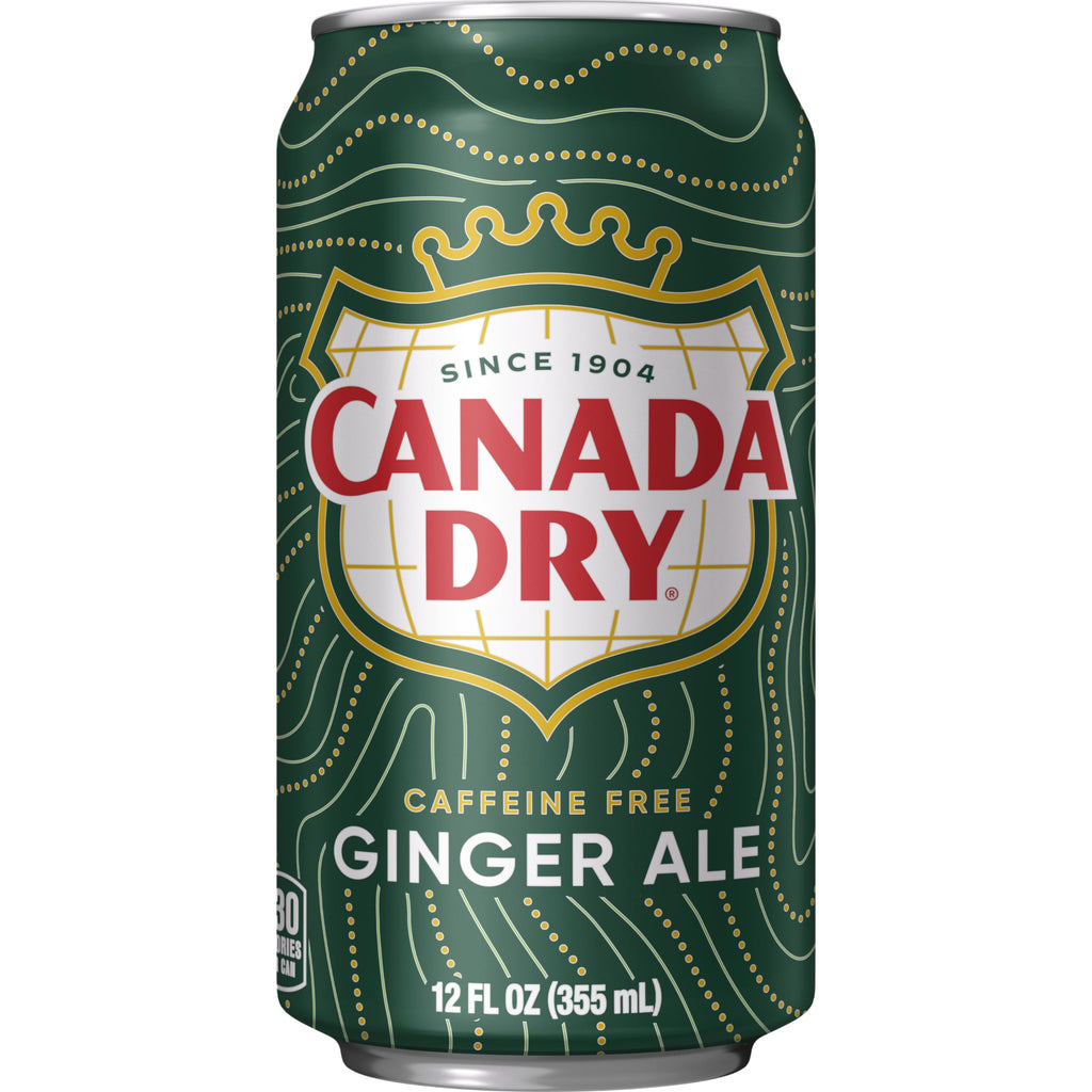 Ginger Ale Soda 12 fl oz 12 pack N45690