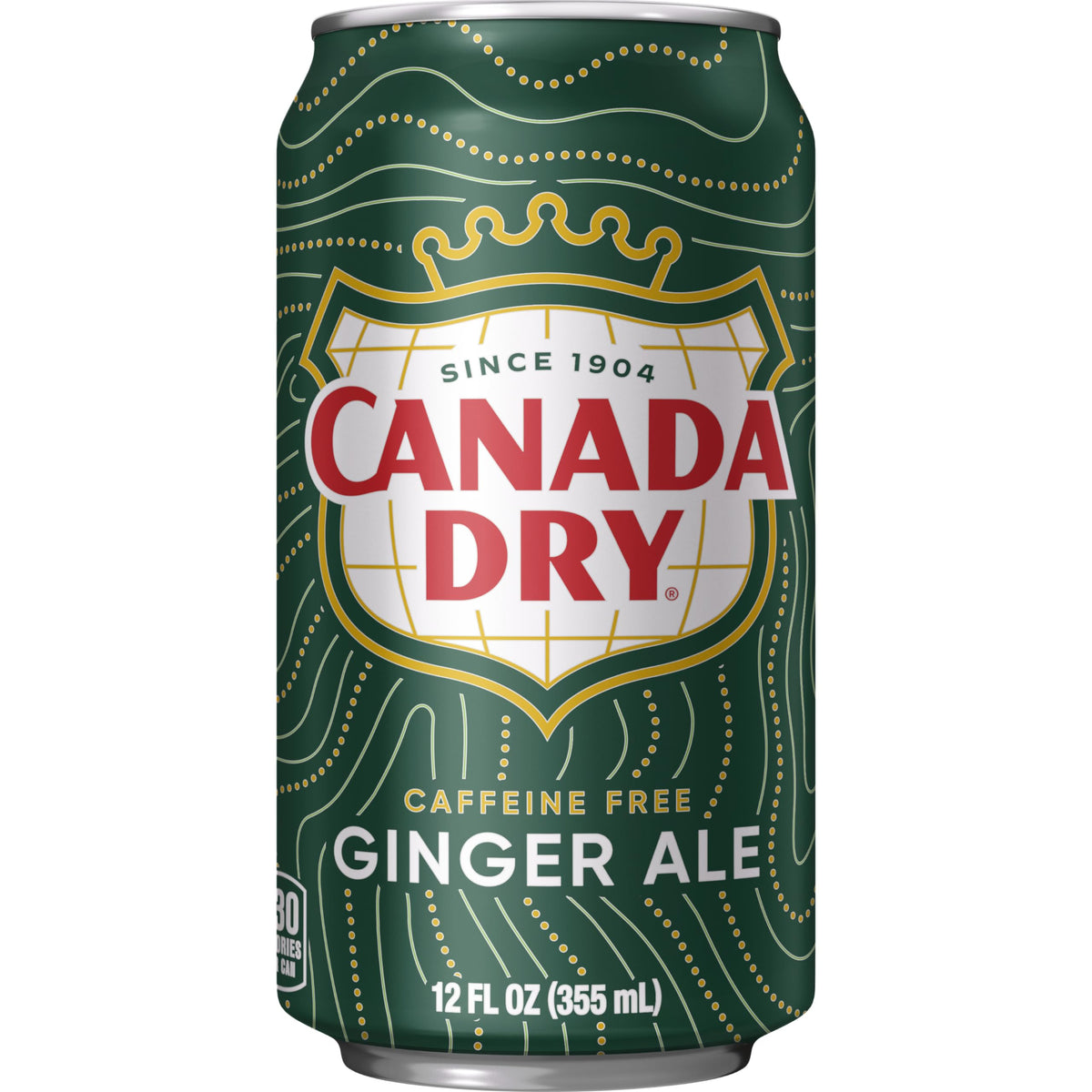 Ginger Ale Soda 12 fl oz 12 pack N45690