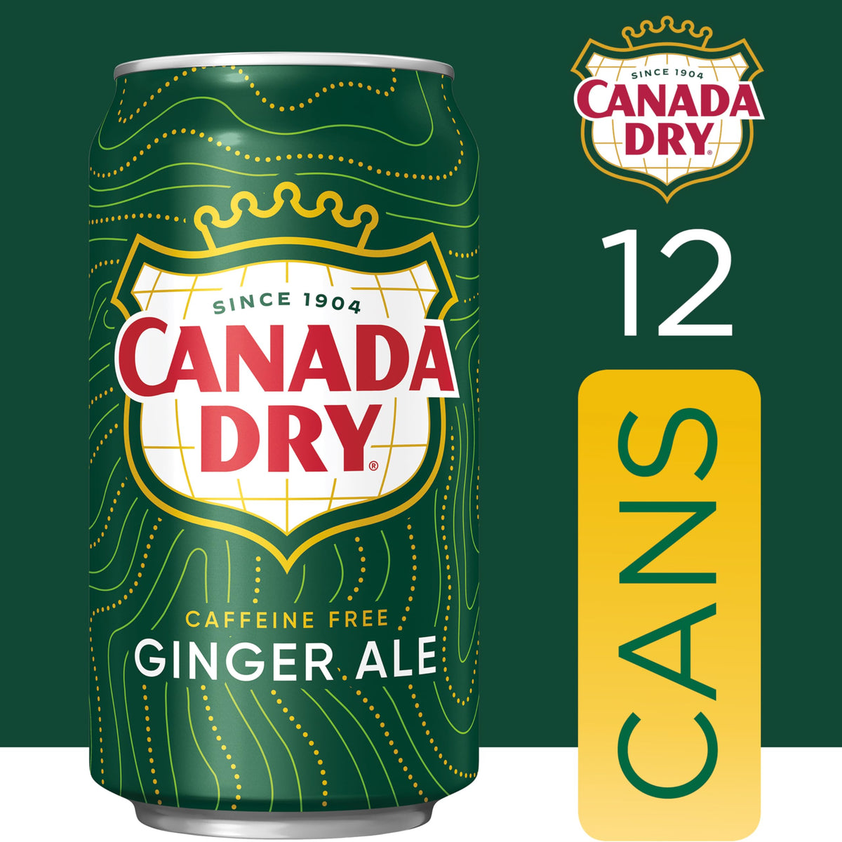 Ginger Ale Soda 12 fl oz 12 pack N45690
