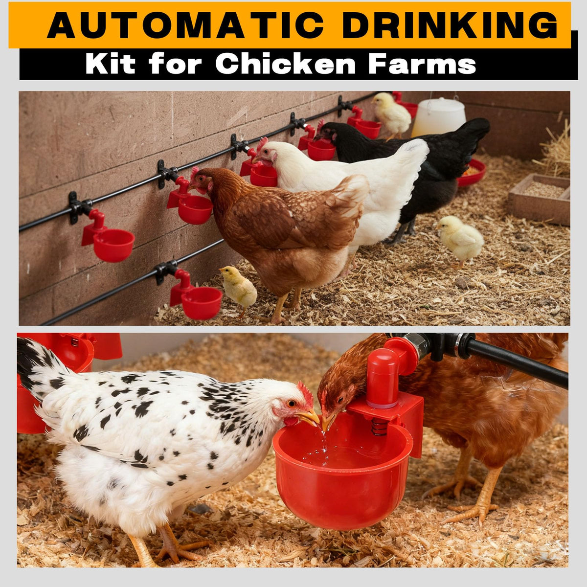 Automatic Chicken Watering System with 10 Red Cups N487