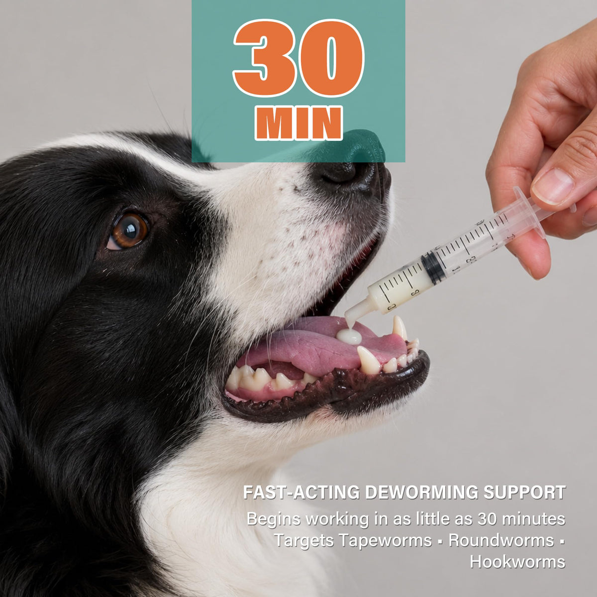 Dewormer for Dogs and Cats 3.38 fl oz N395521