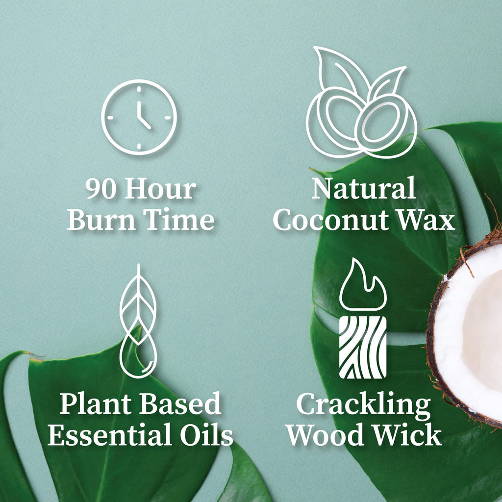 Wood Wick Candle 16 oz N43131