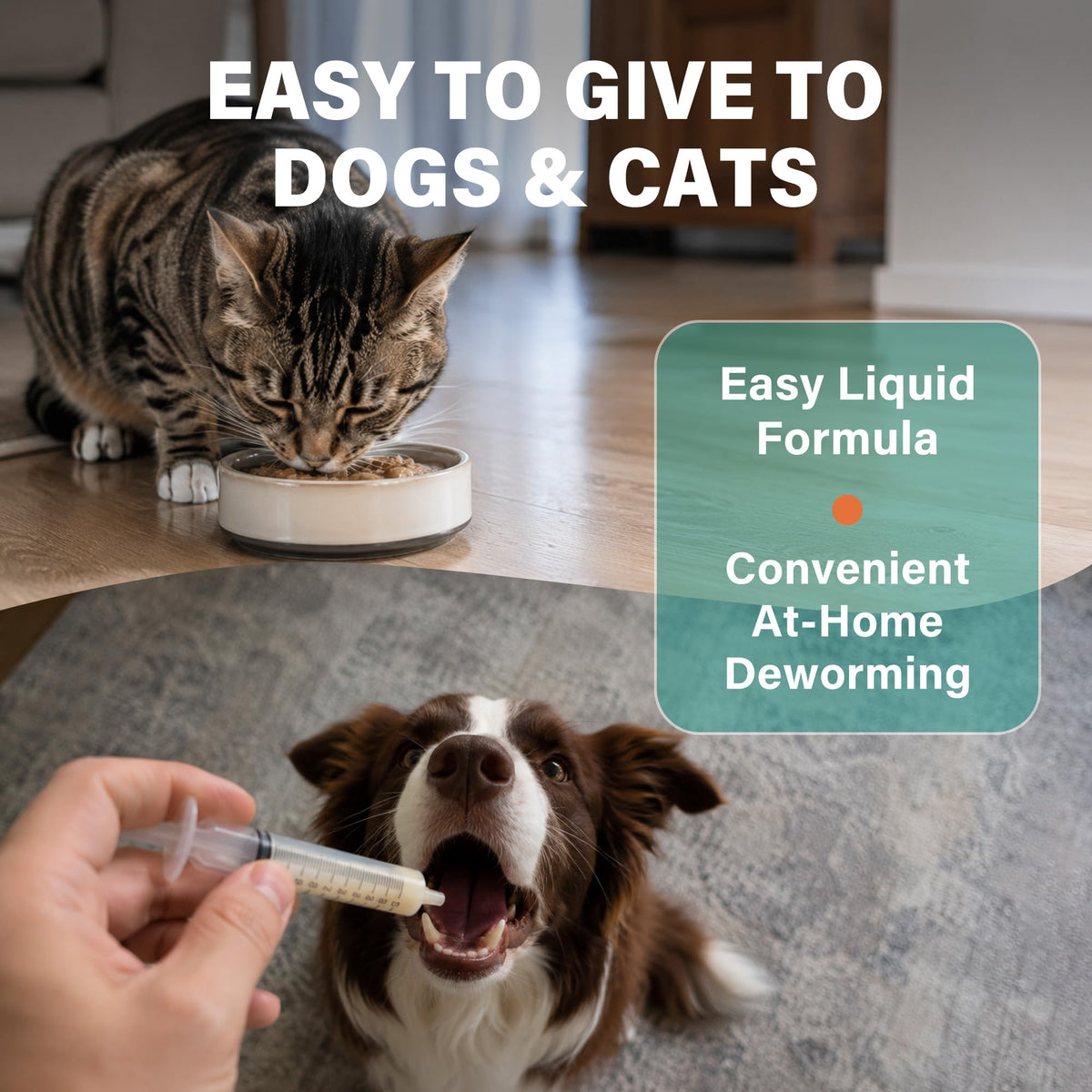 Dewormer for Dogs and Cats 3.38 fl oz N395521