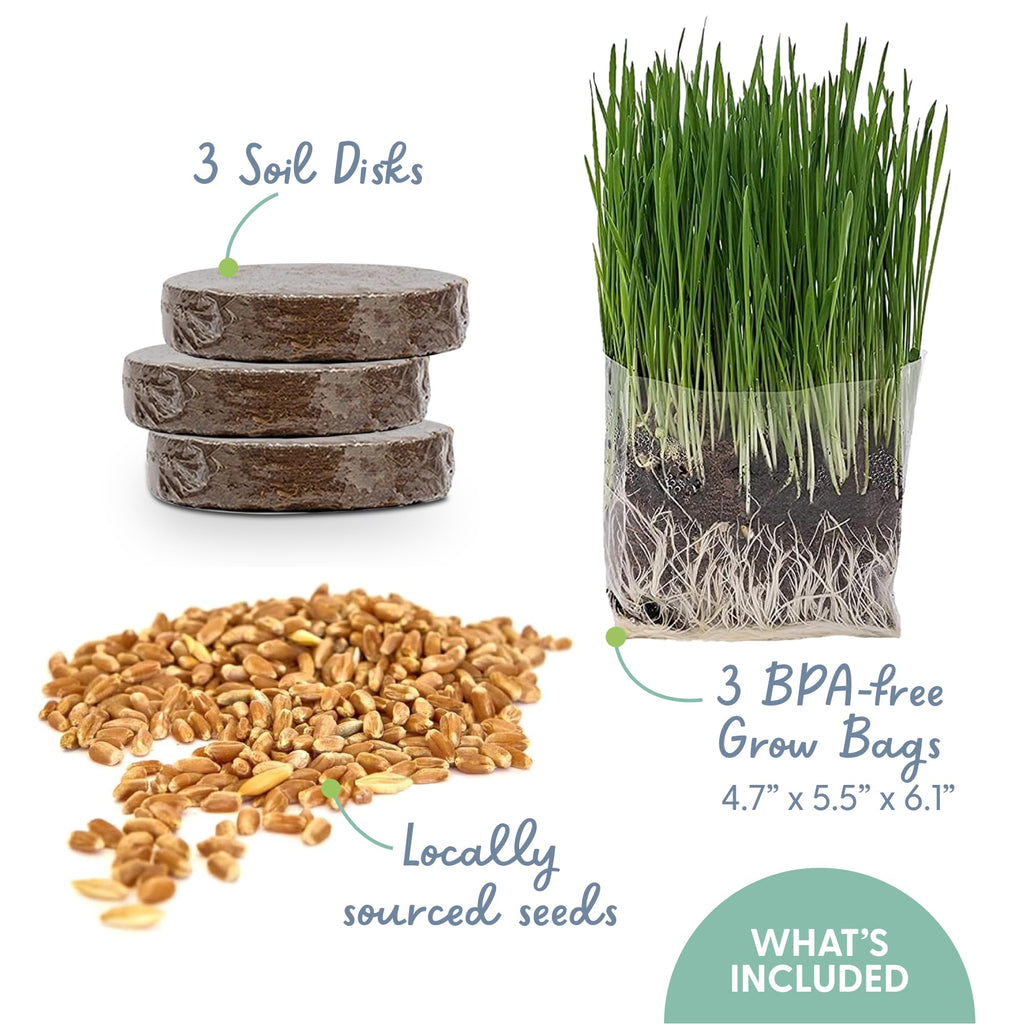 Organic Cat Grass Grow Bag Kit 3 Pack O916