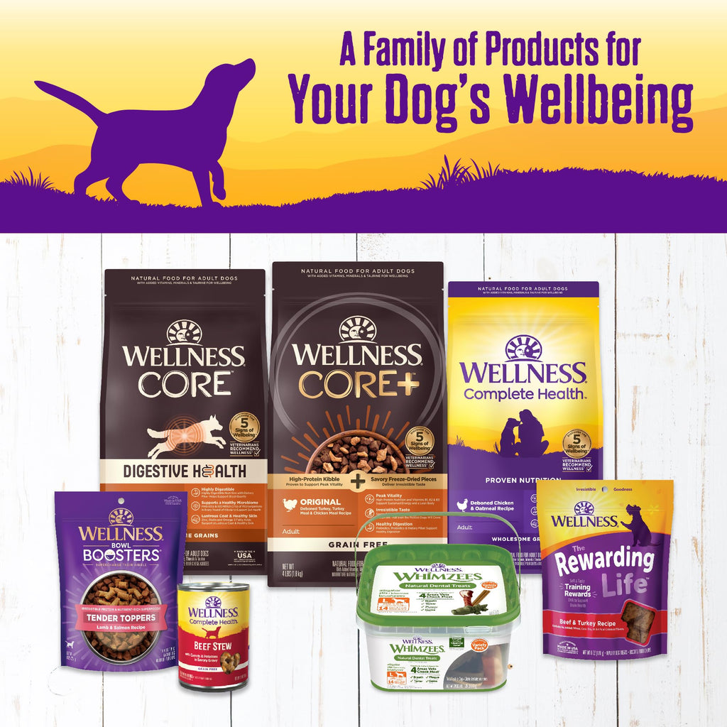 Grain Free Turkey Recipe Canned Wet Dog Food, 12.5 oz, Pack of 12 Cans Q758