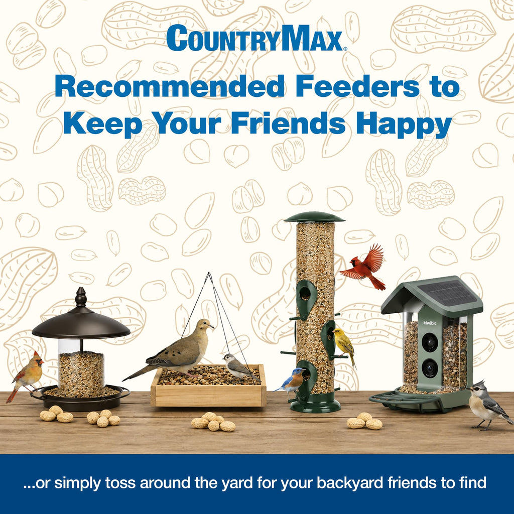 20 LB Backyard Bird Seed H581410