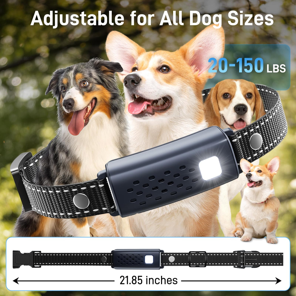 Waterproof Rechargeable Dog Training Collar with Remote J9368