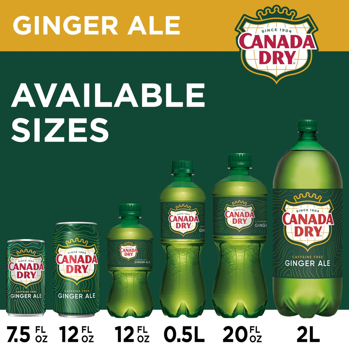 Ginger Ale Soda 12 fl oz 12 pack N45690