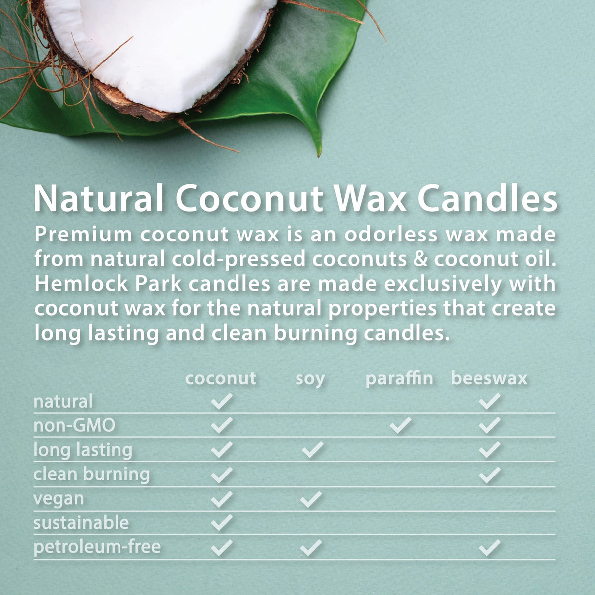 Wood Wick Candle 16 oz N43131