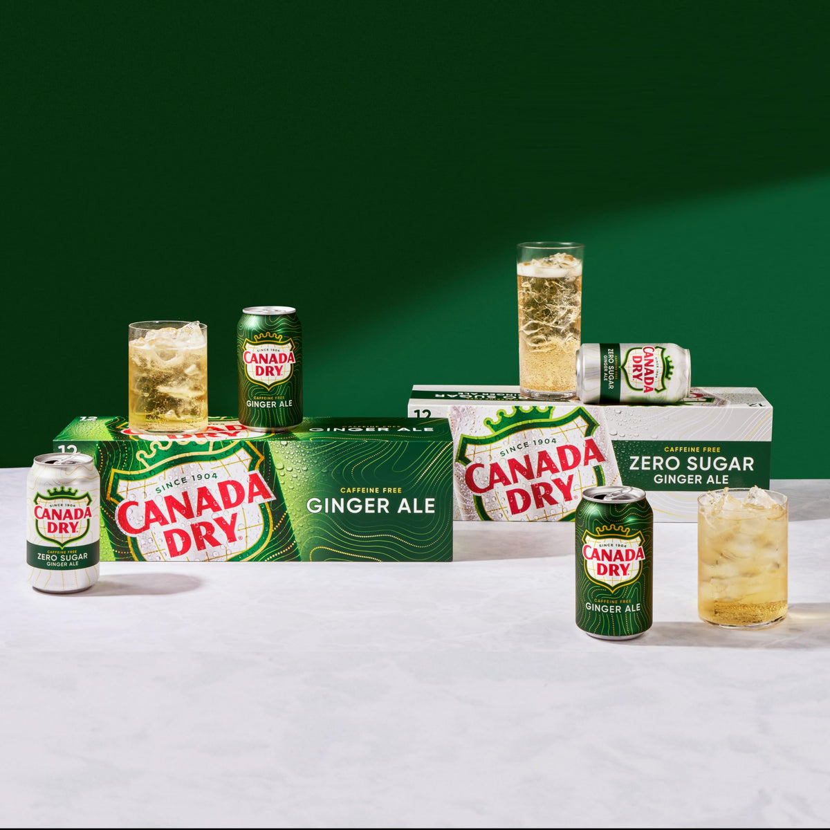 Ginger Ale Soda 12 fl oz 12 pack N45690