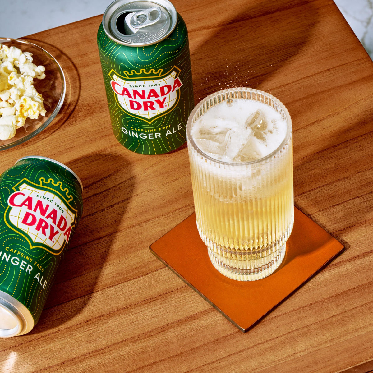 Ginger Ale Soda 12 fl oz 12 pack N45690